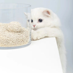 Michu Natural Clumping Tofu Cat Litter 2.5kg/6L