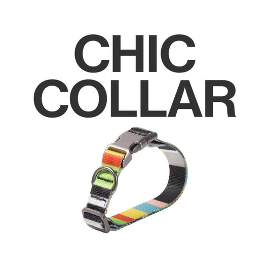 Pidan Dog Collar Adjustable Collar A3