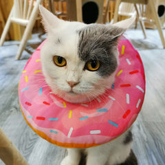 Pikapet Pet Elizabethan Collar Donuts