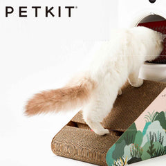 PETKIT Inclined Ladder Cat Scratcher