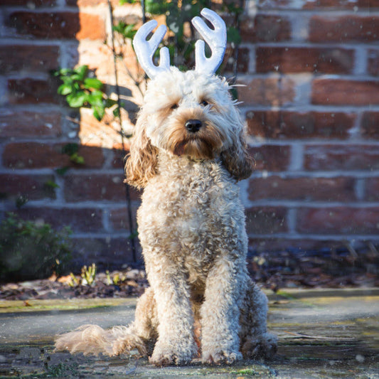 Rosewood Christmas Metallic Antlers