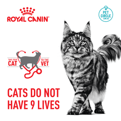 Royal Canin Indoor Adult Dry Cat Food