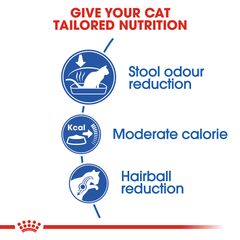 Royal Canin Indoor Adult Dry Cat Food