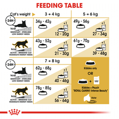 Royal Canin Ragdoll Adult Dry Cat Food