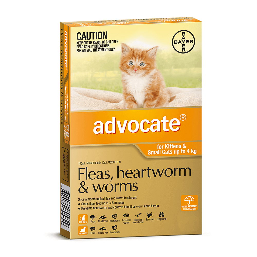 Advocate Spot-on Flea and Worm Treatment for Kittens and Small Cats up to 4 kg 3pk